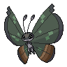 Dark Vivillon (Jungle)